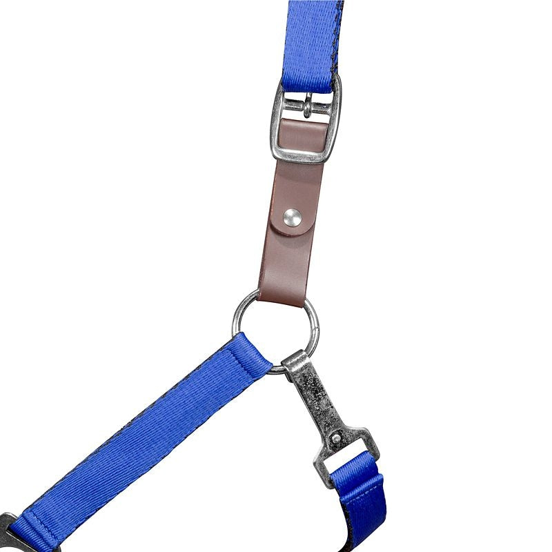 Gatsby Nylon Safety Breakaway Halter