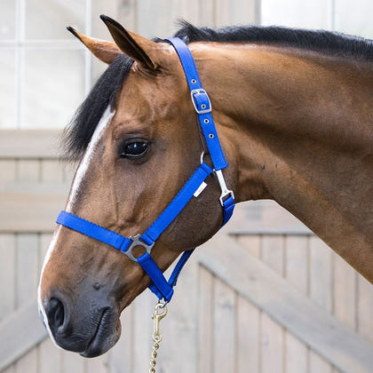 Gatsby Nylon Safety Breakaway Halter