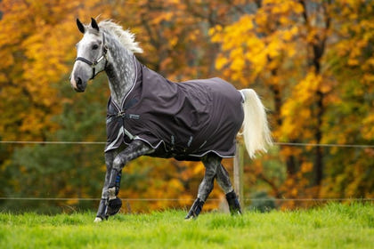 Amigo Bravo 12 Wug Lite Turnout