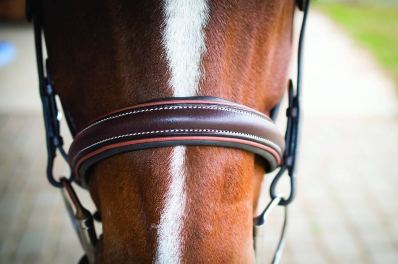 Lami-Cell Two Tone Bridle