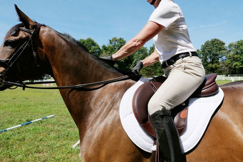 DEMO - Bates Victrix Saddle