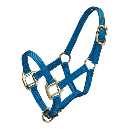 Ozark Mini Neon Nylon Halter