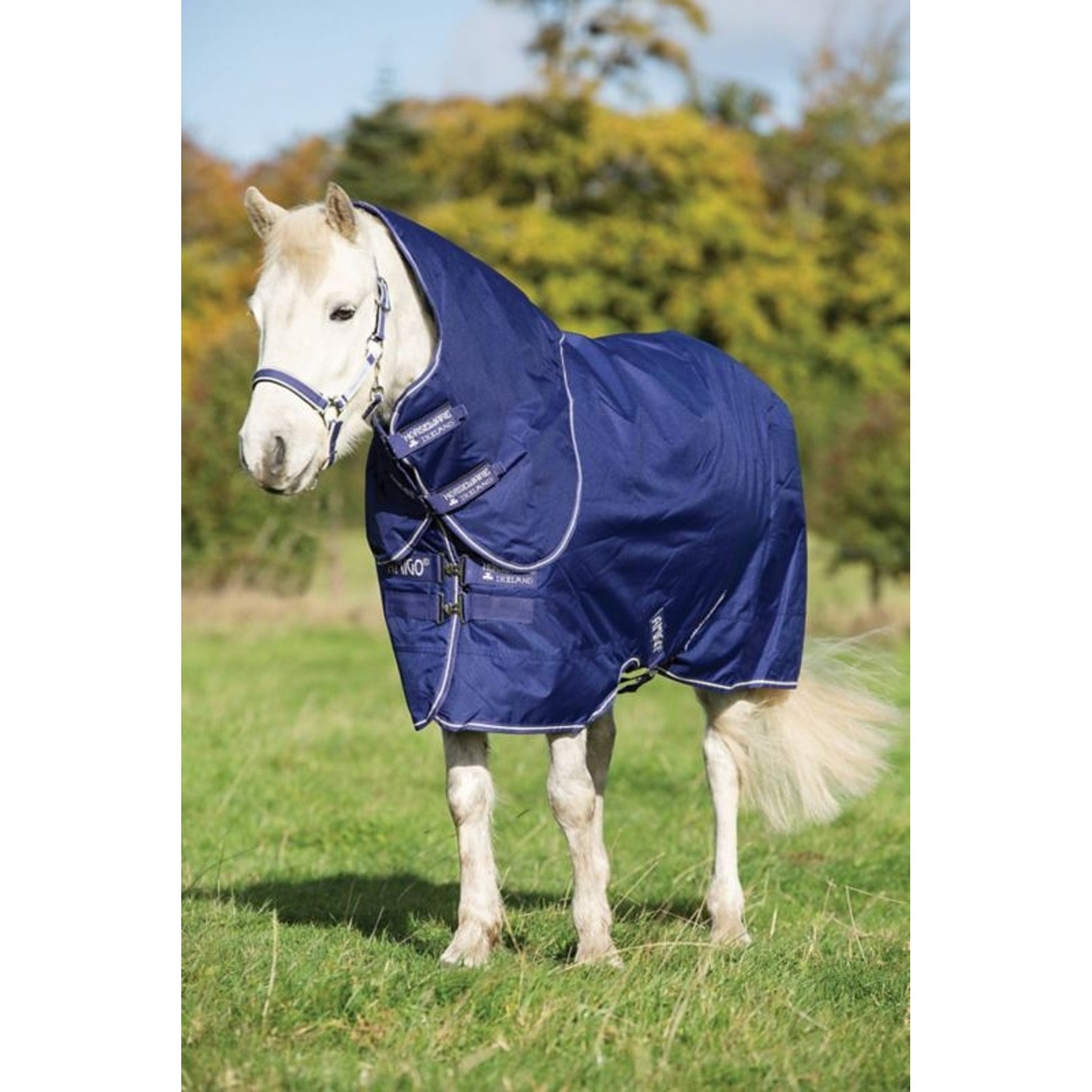 Amigo Hero 900 Pony Plus Medium