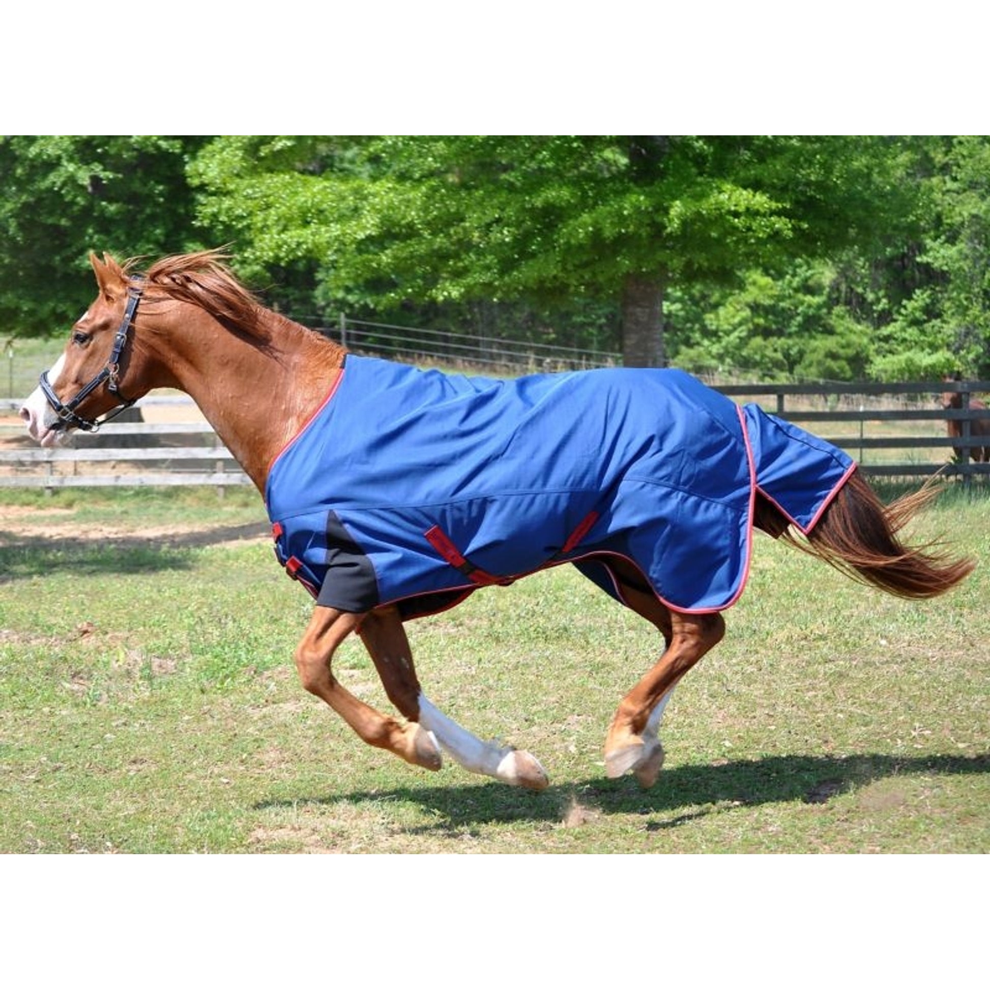 TuffRider Bonum 1200D 220g Pony Blanket