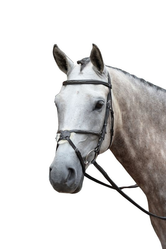 Collegiate Essential Fancy Figure 8 Bridle