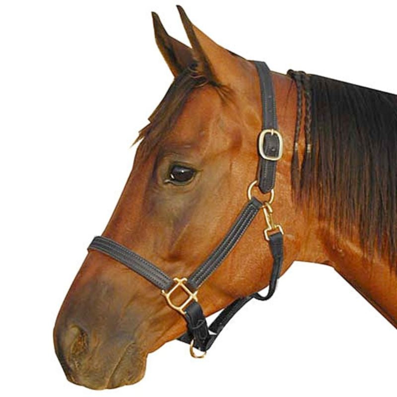 Deluxe Leather Track Halter
