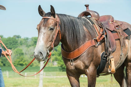 Weaver Leather Heavy Steer Roper Breast Collar