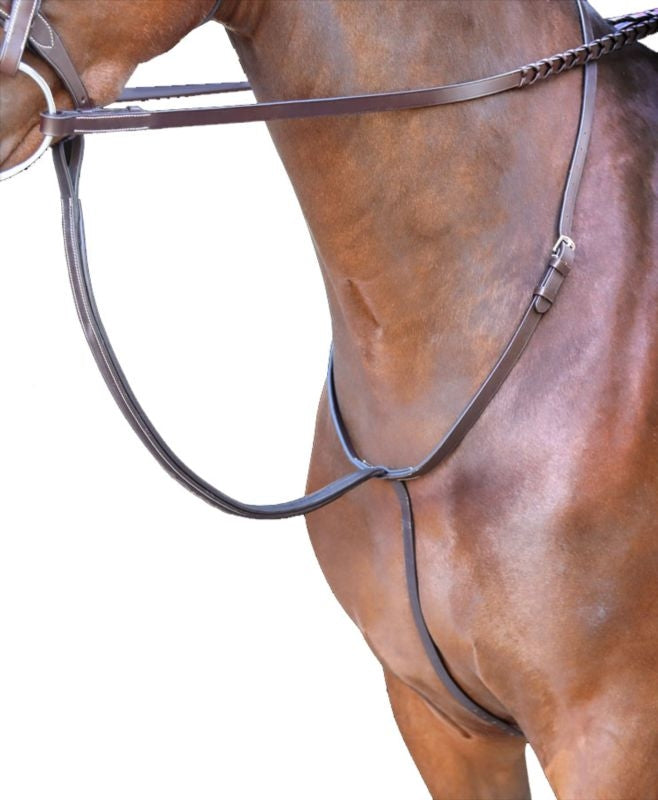 Rossano Standing Martingale