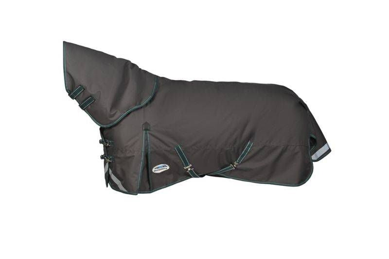 WeatherBeeta Plus Dynamic DAN Med