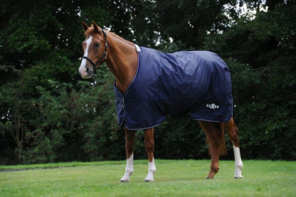 Saxon Defiant 600D Blanket Medium