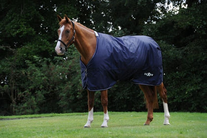 Saxon Defiant 600D Lite Sheet