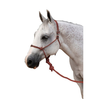 Pro Choice Easy-On Rope Halter with Lead