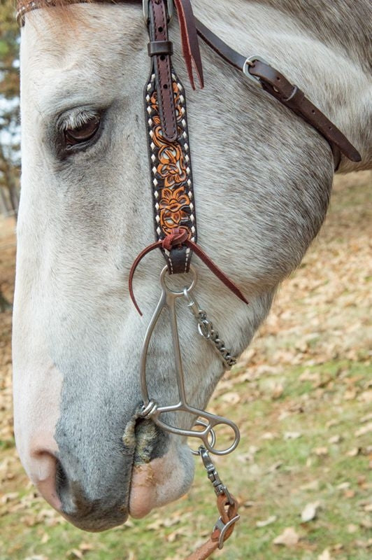 Reinsman Josey Banana Short Shank Gag Bit