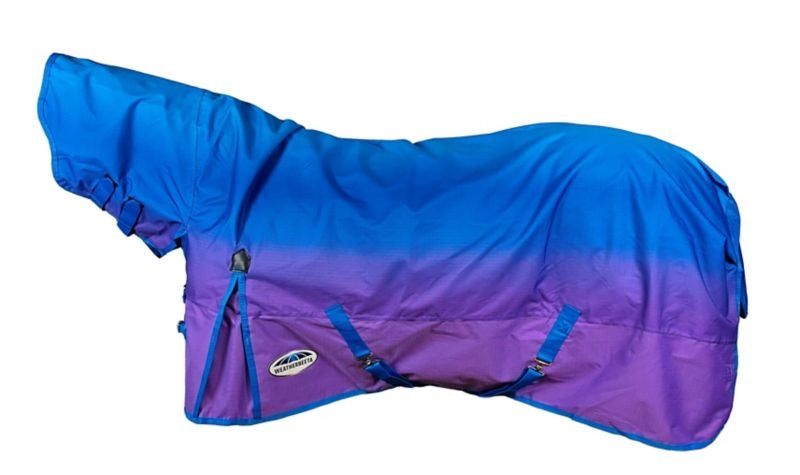 WB ComFiTec Essential Combo Neck Lite 84 Lagoon Mi