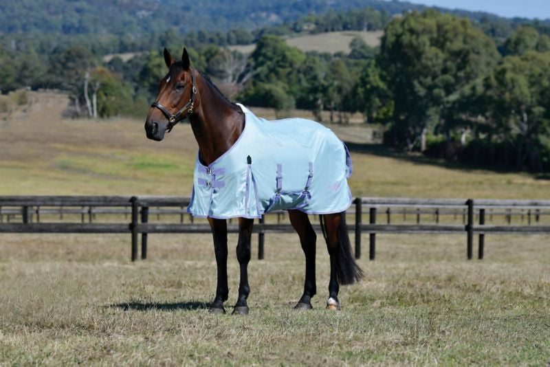 Saxon Mesh Fly Sheet Standard Neck