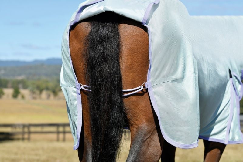 Saxon Mesh Fly Sheet Standard Neck