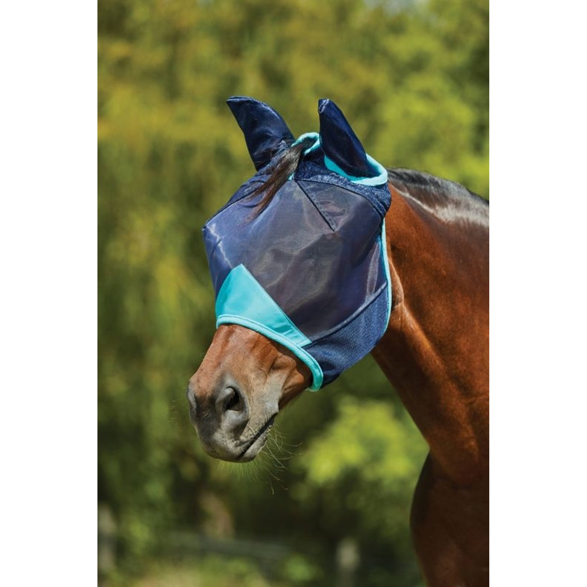 Fine Mesh Mask Weatherbeeta ComFiTec Deluxe Fine Mesh Mask With Ears– Horse.com