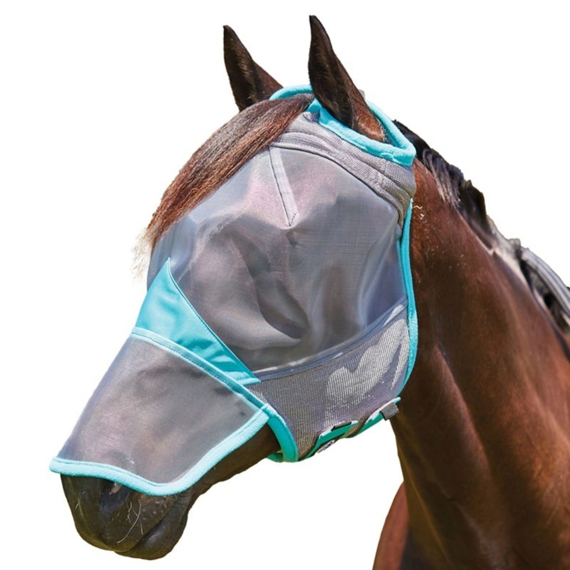 Fine Mesh Mask WeatherBeeta ComFiTec Deluxe Fine Mesh Mask With Nose– Horse.com