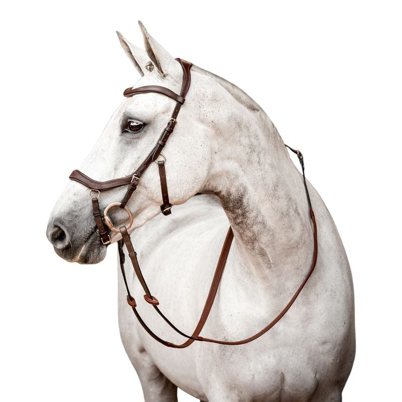 HW Micklem 2 Competition Bridle