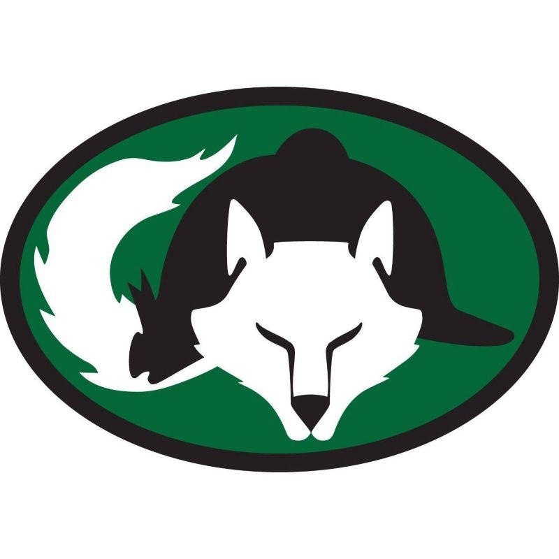 Euro Fox Helmet Vinyl Stickers Set Of 3