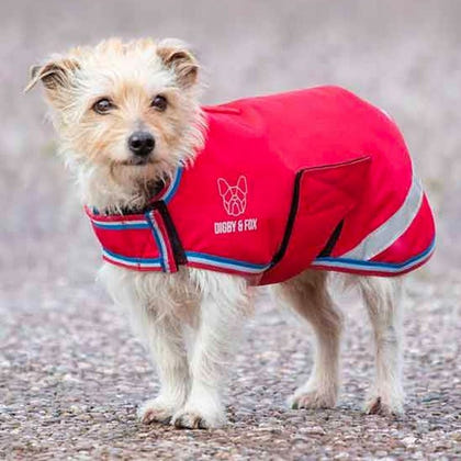 Shires Digby & Fox Waterproof Dog Coat XX-Large Na
