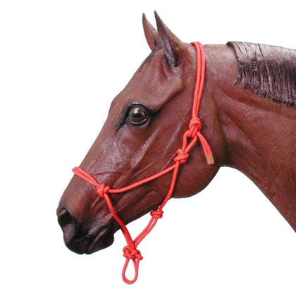 Tough1 Two-Tone Poly Rope Halter