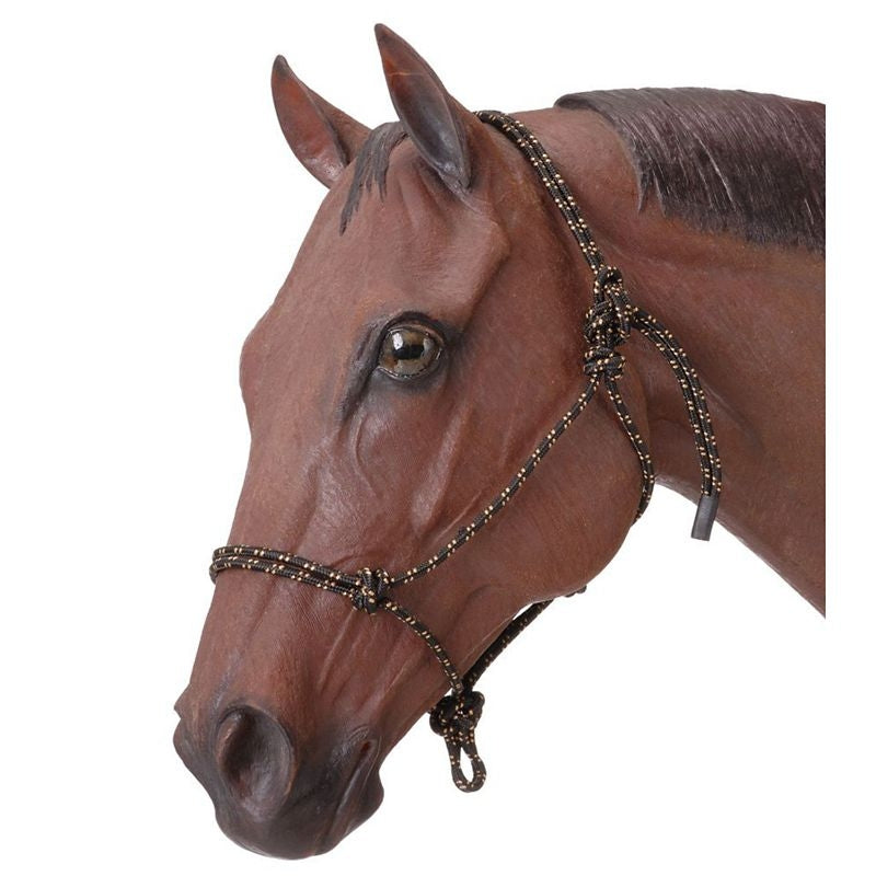 Tough1 Two-Tone Poly Rope Halter