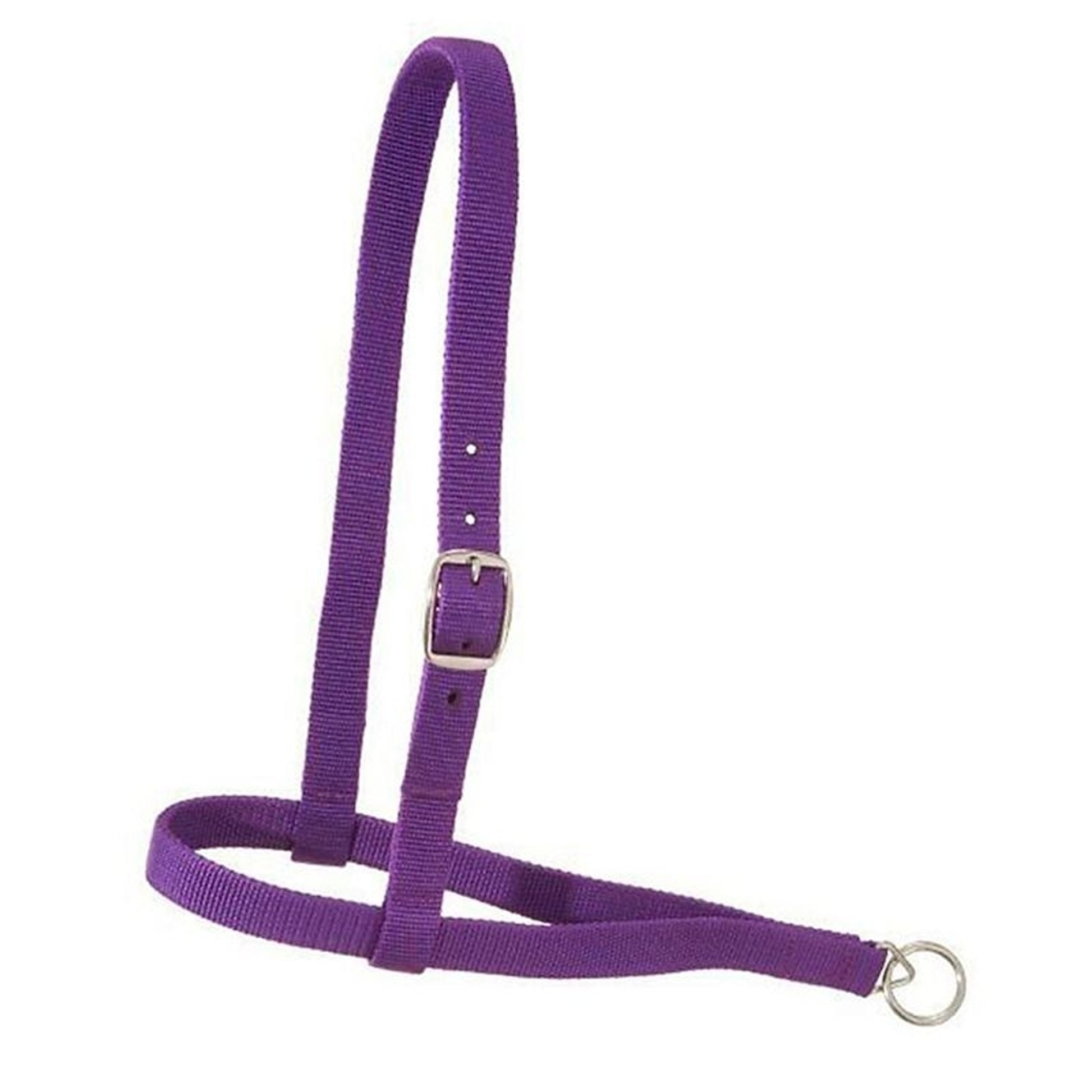 Royal King Nylon Web Noseband