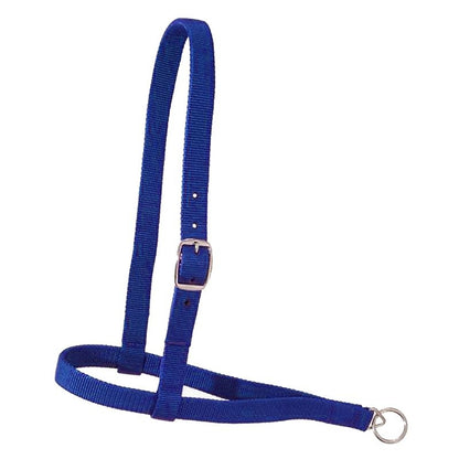 Royal King Nylon Web Noseband