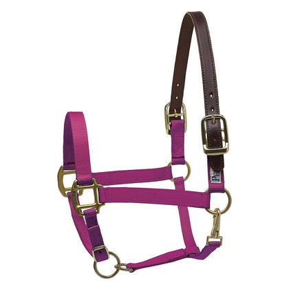 Perris Nylon Safety Halter