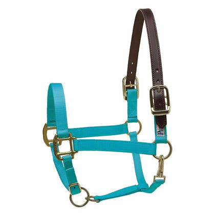 Perris Nylon Safety Halter