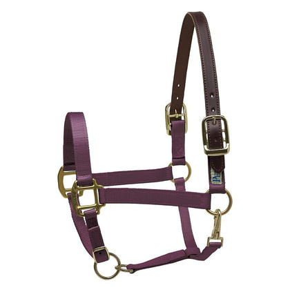Perris Nylon Safety Halter