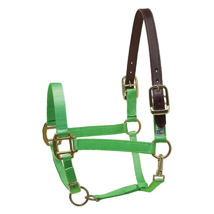 Perris Nylon Safety Halter