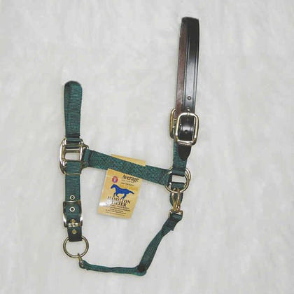 Adjustable Halter with Leather Crown Yearling Blk