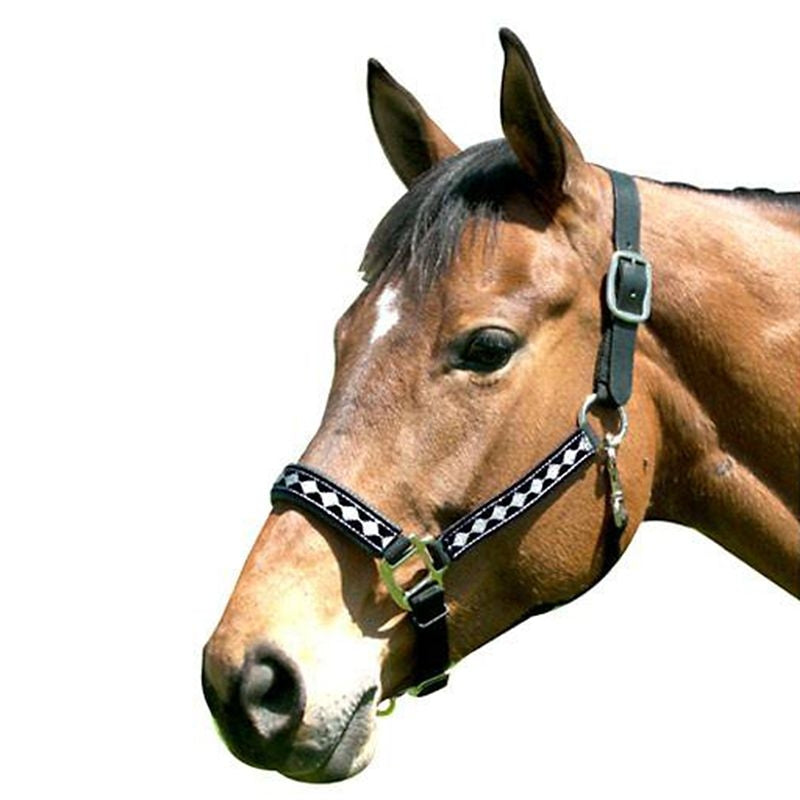 Leather Crown Diamond Pattern Halter