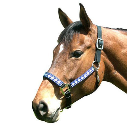 Leather Crown Diamond Pattern Halter
