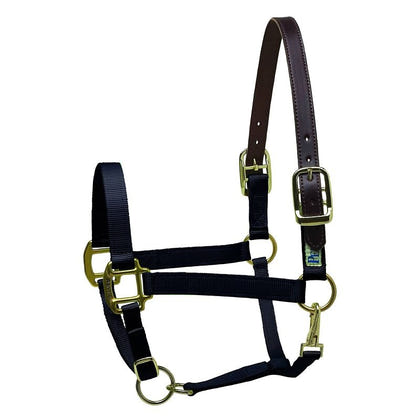 Perris Nylon Safety Halter