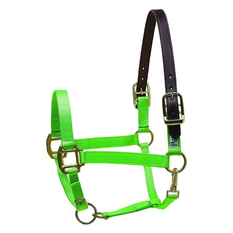 Perris Nylon Safety Halter