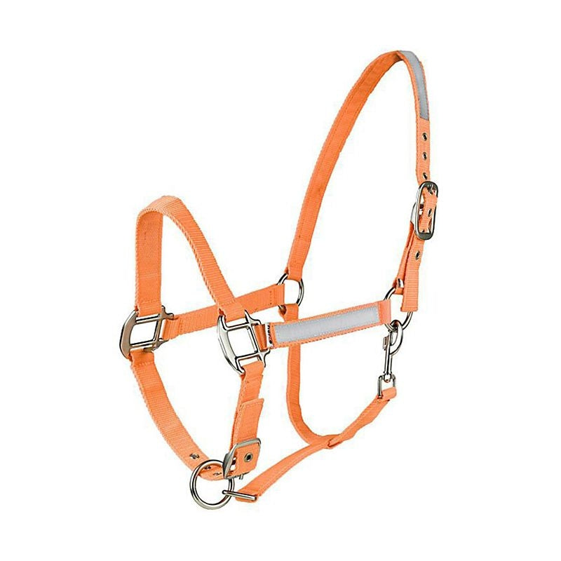 HorZe Reflective Halter Cob Orange