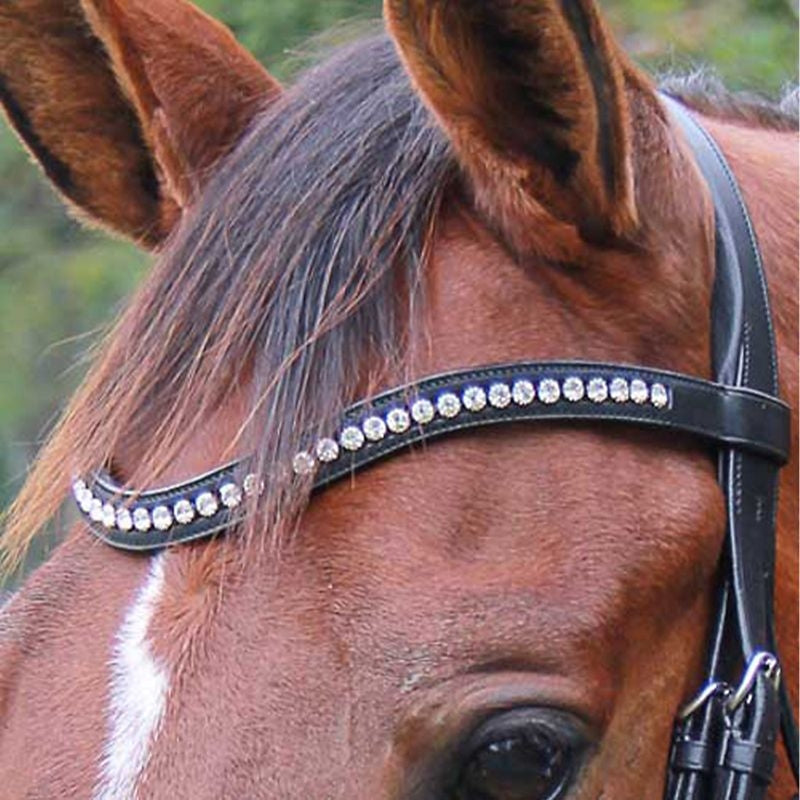 Vespucci Veritas Swarovski Crystal Browband