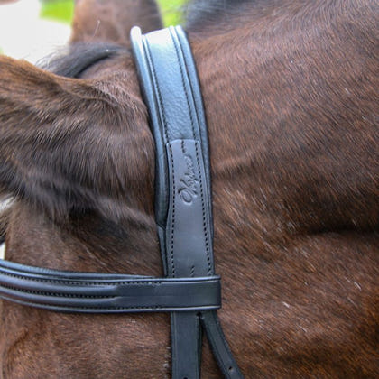 Vespucci Double Raised Weymouth Bridle