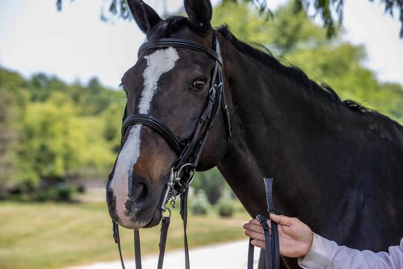 Vespucci Double Raised Weymouth Bridle