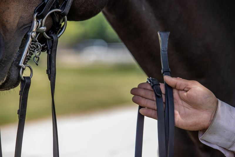 Vespucci Double Raised Weymouth Bridle