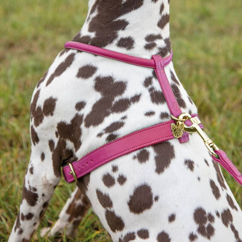 Shires Digby Rolled Leather Harness