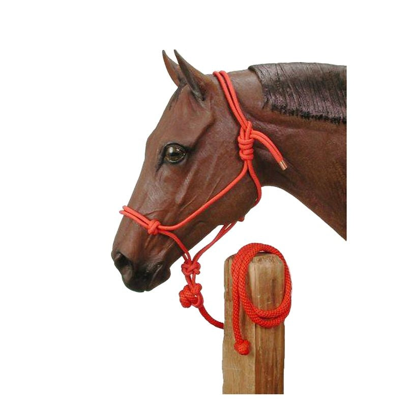 Tough1 Poly Rope Halter with Lead