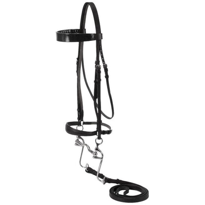 Silver Fox Walking Horse Bridle