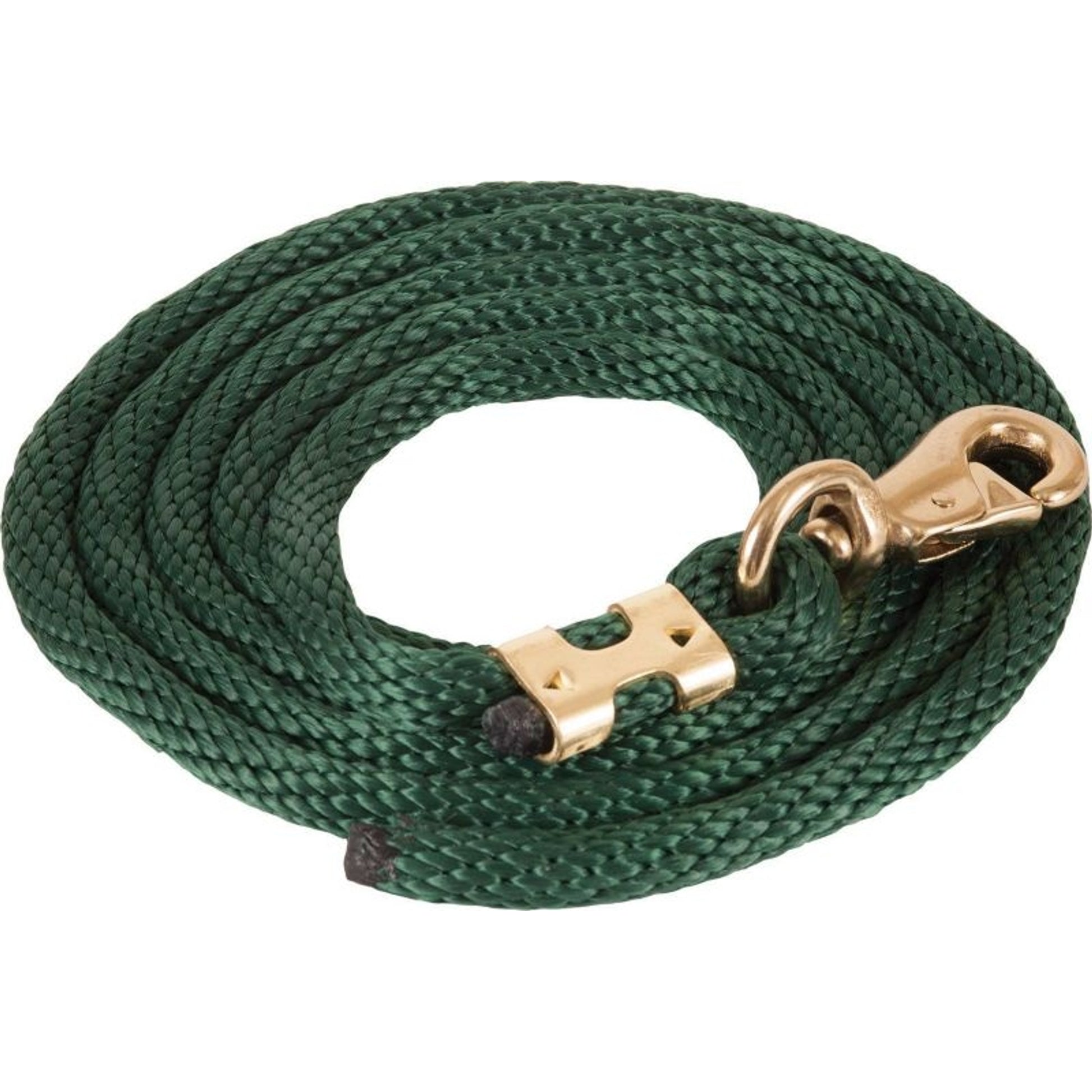 Mustang Poly Lead Rope with 1" Brass Plated Bull S