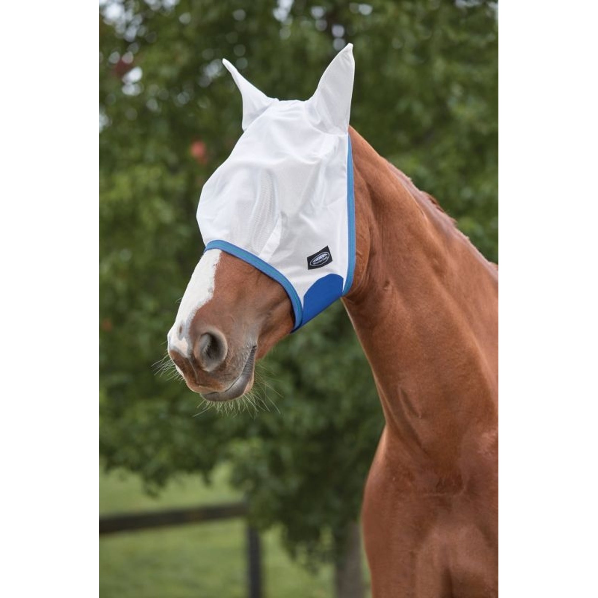 Weatherbeeta ComFiTec Essential Mesh Mask