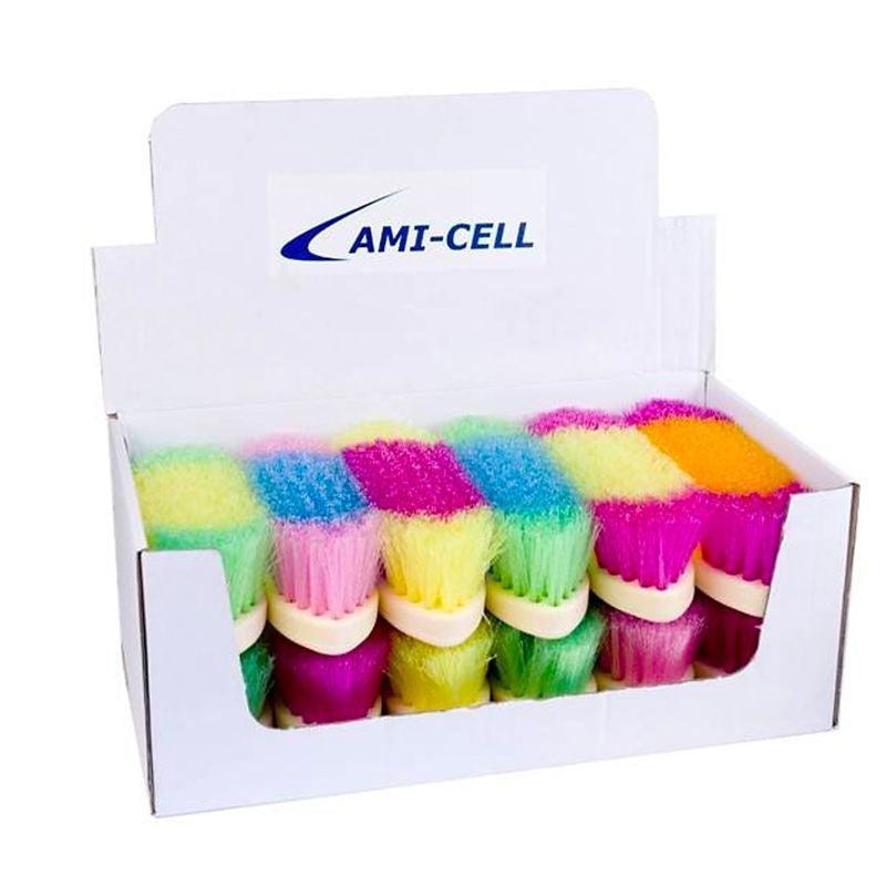 Partrade Rainbow Dandy Brush 12 pk