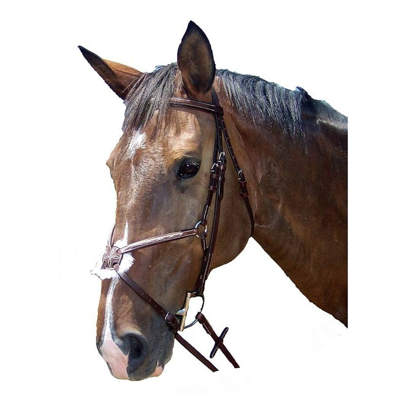 ProAm Fancy Raised Padded Figure 8 Bridle